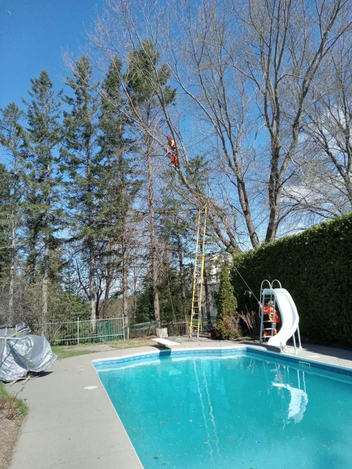 Émondage et élagage La Beauce