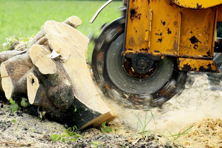 Service d’essouchement La Beauce